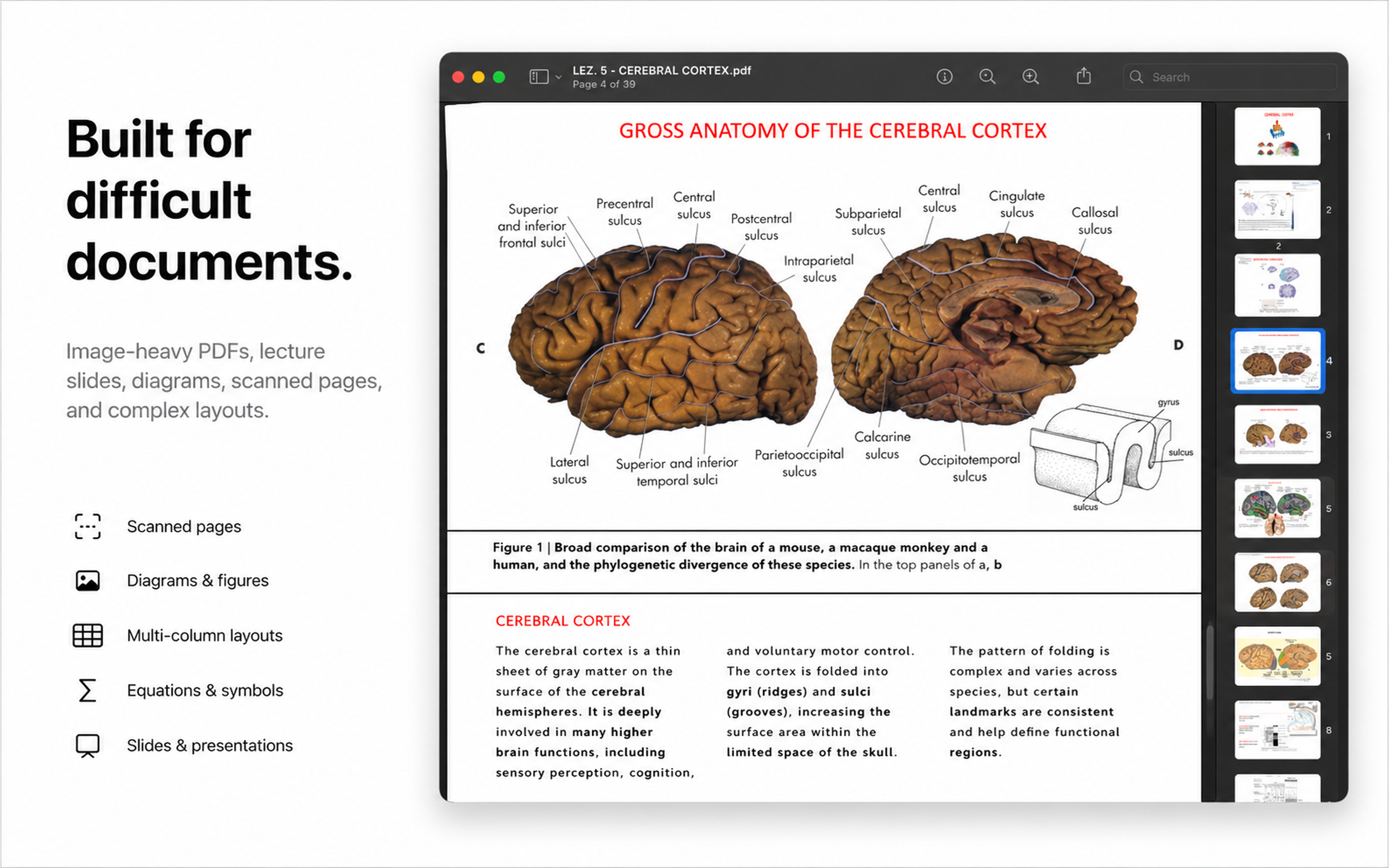 PDF-MD source preview for difficult documents.